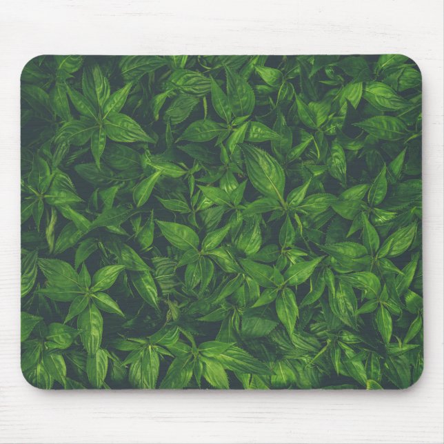 Mousepad Folhas Verde-Profundas  (Frente)