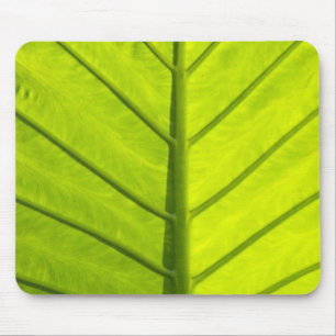 Mousepad Folhas verdes com veias da folhagem tropical em