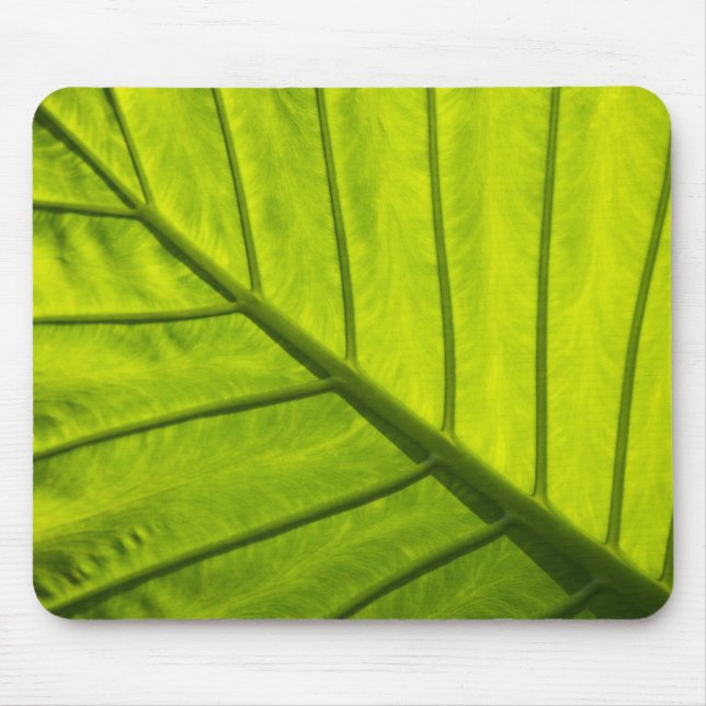 Mousepad Folhas verdes com veias de folhagem tropical em 2 (Frente)