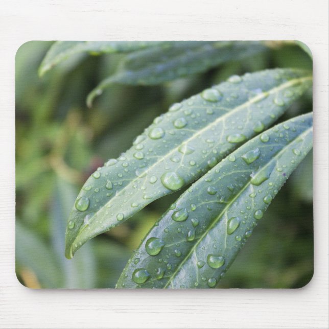 Mousepad folhas verdes e gotas de chuva (Frente)