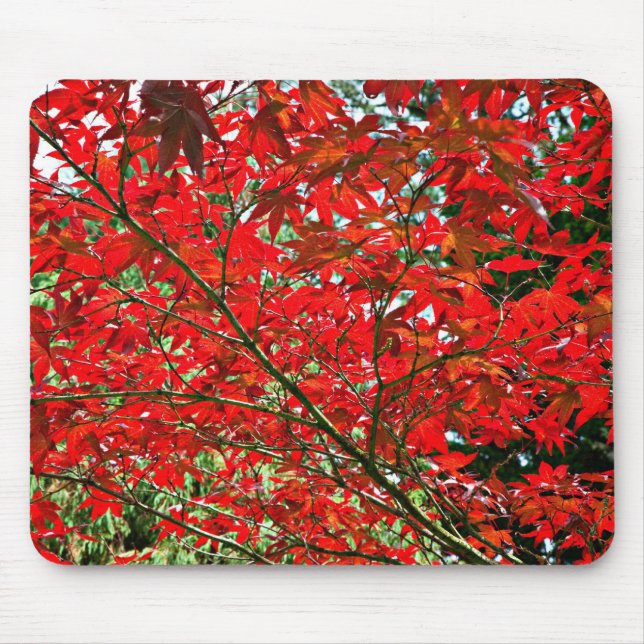 Mousepad Folhas vermelhas (Frente)