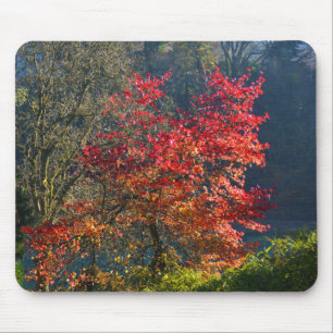 Mousepad Folhas vermelhas