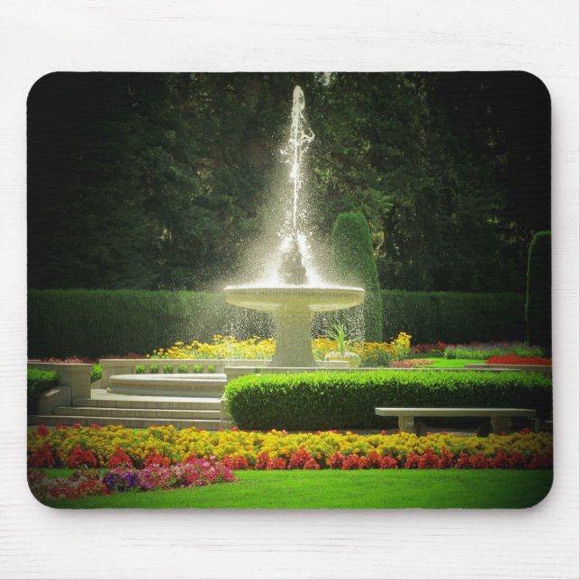Mousepad Fonte de pulverização de jardim de flores (Frente)