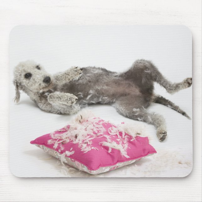 Mousepad Formação no domínio do comportamento dos cães (Frente)