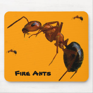 Mousepad Formigas de fogo