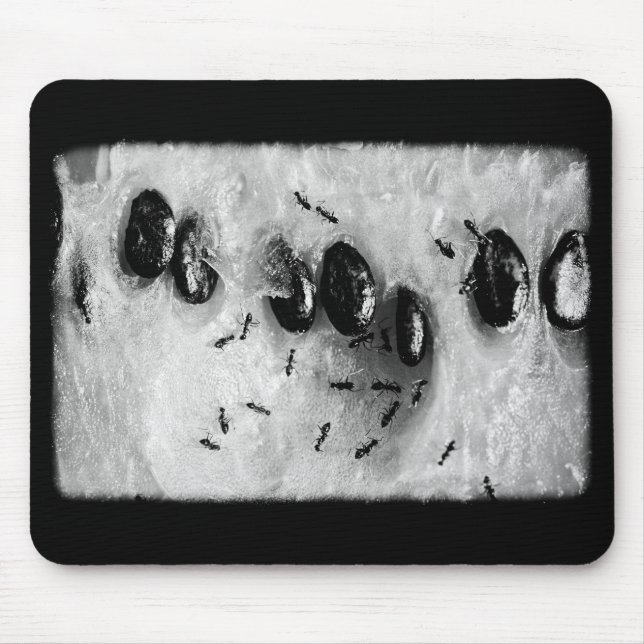 Mousepad formigas surfadoras (Frente)