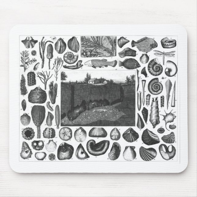MOUSEPAD FÓSSEIS (Frente)