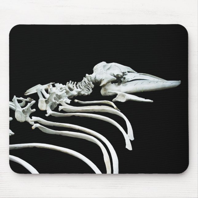Mousepad Fóssil da baleia cinzenta (Frente)