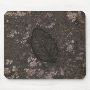 Mousepad fóssil de folha