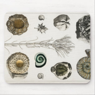 Mousepad Fóssil, Dinossauro, Fósseis, Paleontologia, Geolog