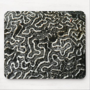 Mousepad Foto abstrata da natureza Coral Preto e Branco II