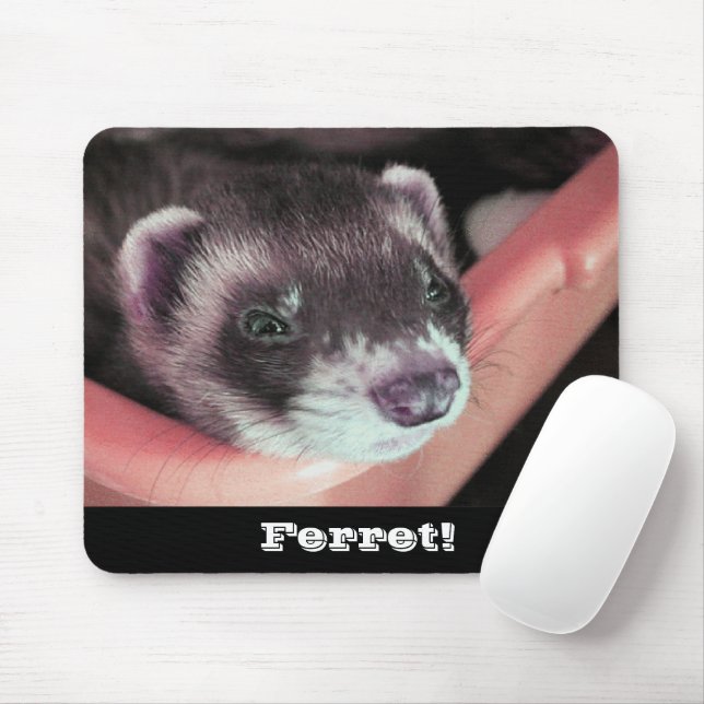 Mousepad Foto Adorável do Ferret Sable (Com mouse)