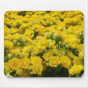 Mousepad Foto amarela vívida da flor da flor da natureza
