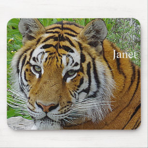 Mousepad Foto aproximada do rosto de tigre siberiano