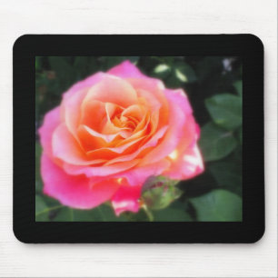 Mousepad Foto bonito cor-de-rosa e macro Rosa de cor laranj