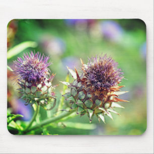 Mousepad Foto bonito da Flor do Jardim de Lúpulo Roxo