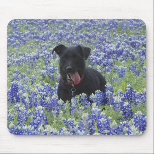 Mousepad Foto bonito do cão de filhote de cachorro do camp