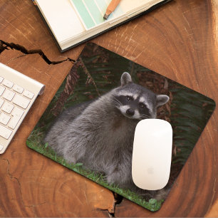 Mousepad Foto bonito do guaxinim da floresta