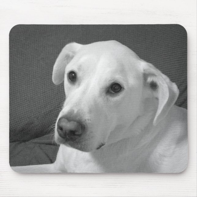 Mousepad Foto branca e negra de um lindo cão com alma (Frente)