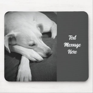 Mousepad Foto branca e negra de um lindo cão dormindo