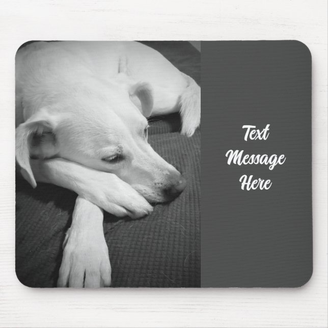 Mousepad Foto branca e negra de um lindo cão dormindo (Frente)