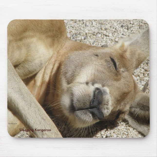 Mousepad Foto Canguru Dormindo Austrália (Frente)