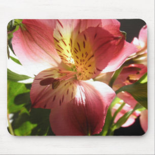Mousepad Foto cor-de-rosa das flores dos lírios da flor do