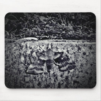 Mousepad Foto da antiga mariposa