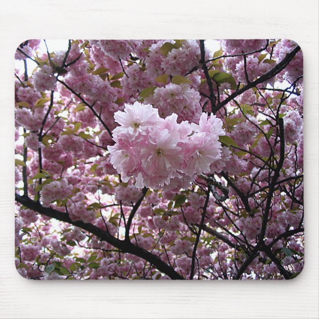 Mousepad Foto da Árvore de Cerejeira Rosa (Frente)
