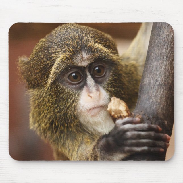 Mousepad Foto da árvore de treinar macaco subindo (Frente)