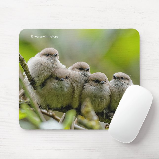 Mousepad Foto da Família Songbird, Cute Bushtits (Com mouse)