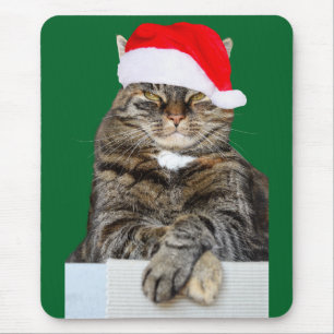 Mousepad Foto da farsa do gato do Natal com chapéu do papa