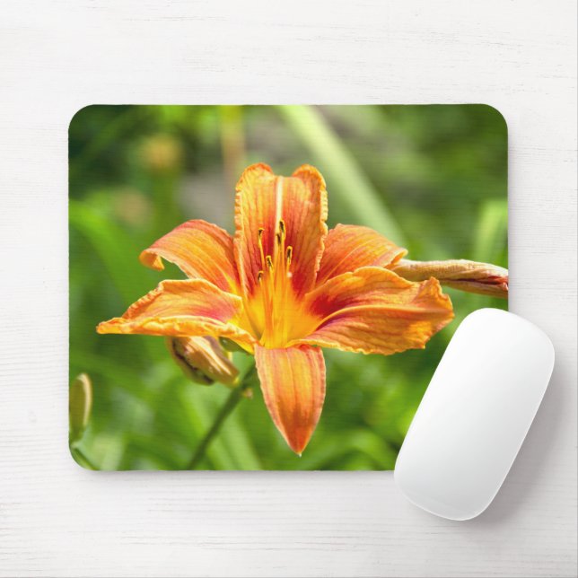 Mousepad Foto da flor grande e fofa de Lírio (Com mouse)