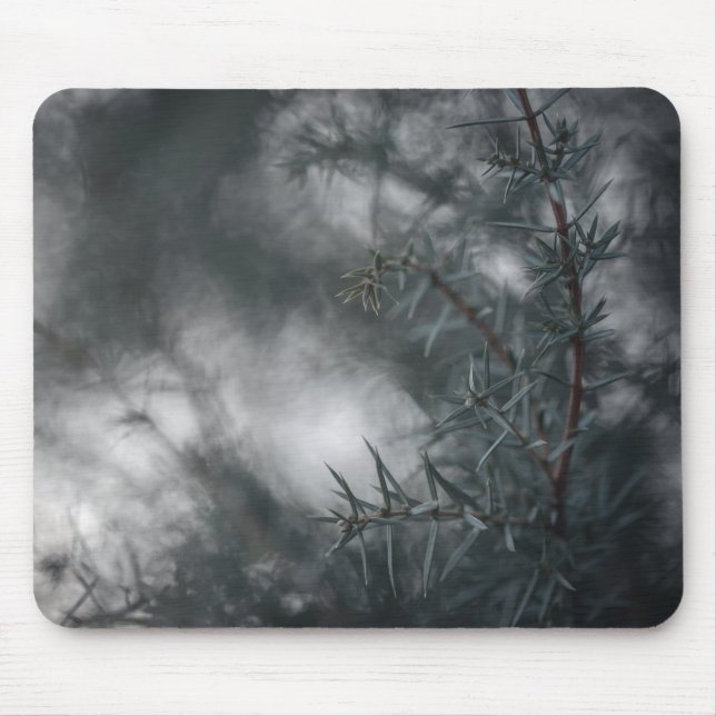 Mousepad Foto da Natureza Floral Juniper Dark Moody (Frente)