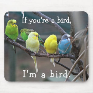 Mousepad Foto de Budgies dos Parakeets das citações do am