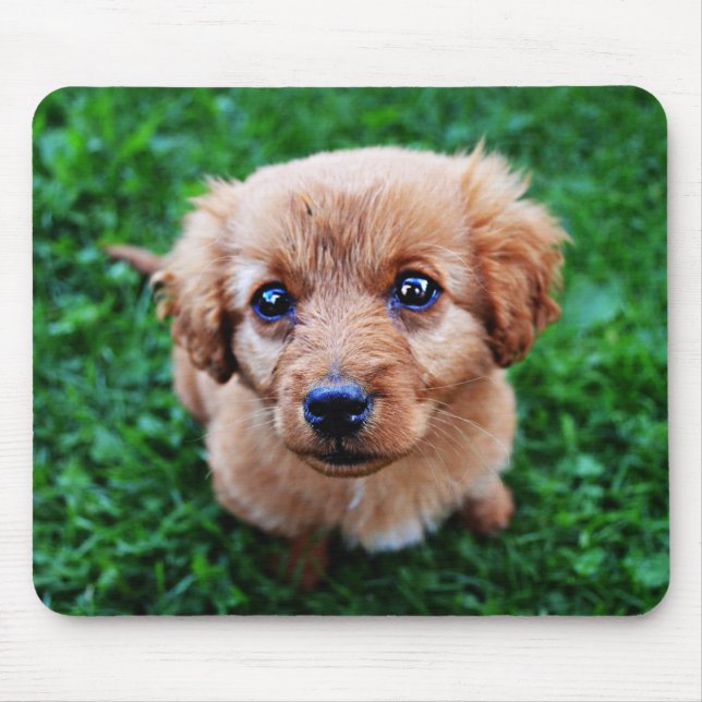 Mousepad Foto de Cachorrinho Adorável (Frente)