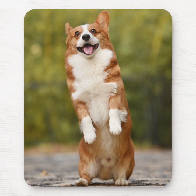 Mousepad Foto de cachorrinho Corgi feliz em pé (Frente)