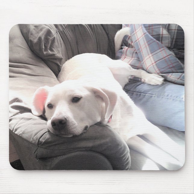 Mousepad Foto de Cachorro Branco Bonito Saindo com Pai (Frente)