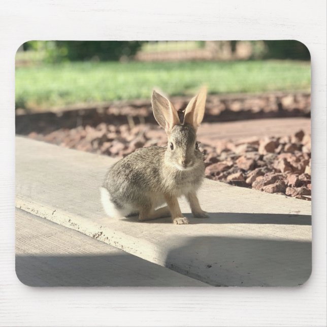 Mousepad foto de coelho Easter primavera (Frente)