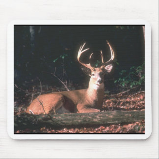 Mousepad Foto de Deer Buck em Branco