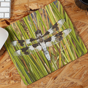 Mousepad Foto de Dragonfly de Whitetail Comum