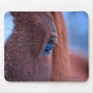Mousepad Foto de Equino Chestnut Horse