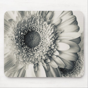 Mousepad Foto de flor de margarida branca preta