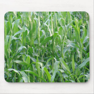 Mousepad Foto de fundo do Cornualha Verde Rural