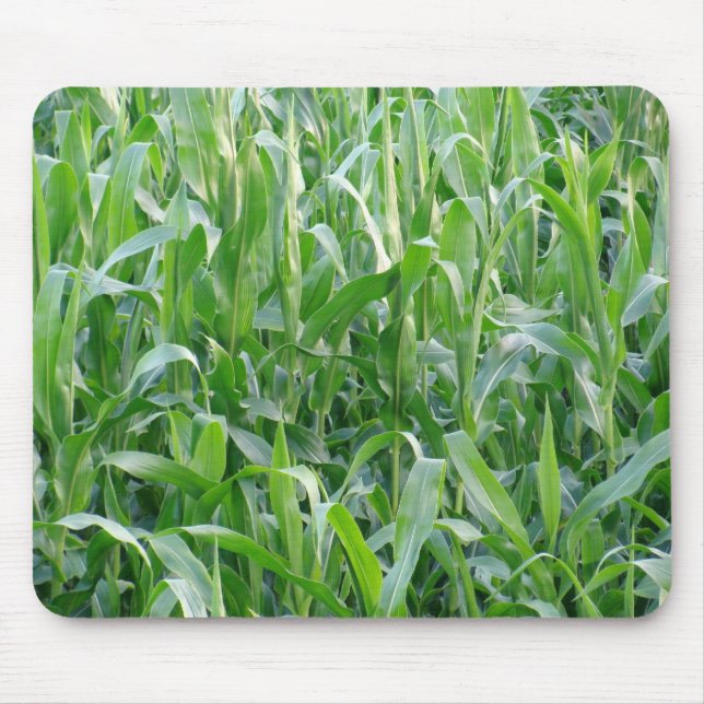 Mousepad Foto De Fundo Rural Green Cornfield (Frente)