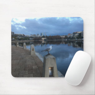 Mousepad Foto de Gaivota