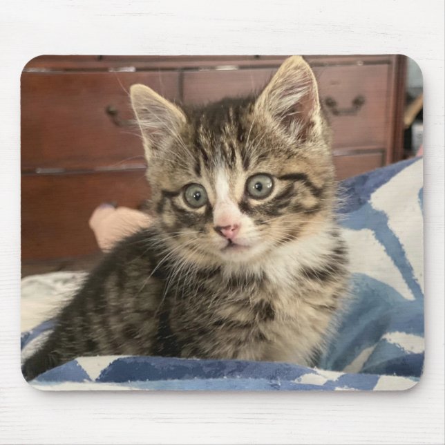 Mousepad Foto de Gatinho Adorável, ou Envie a Sua (Frente)
