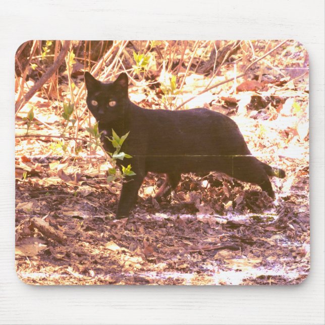 Mousepad Foto de Gato Preto (Frente)