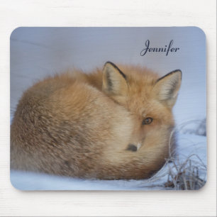 Mousepad Foto De Inverno Enrolada De Raposa Bela