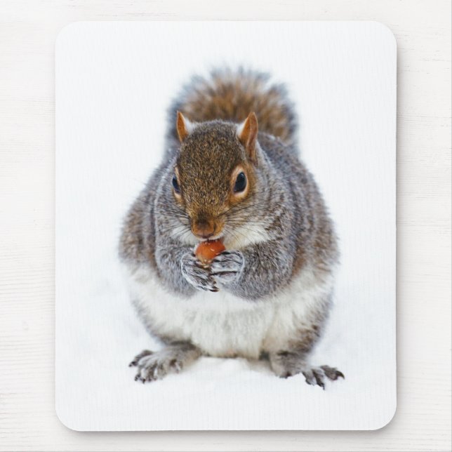 Mousepad Foto de inverno fofa de esquilo comendo uma noz (Frente)